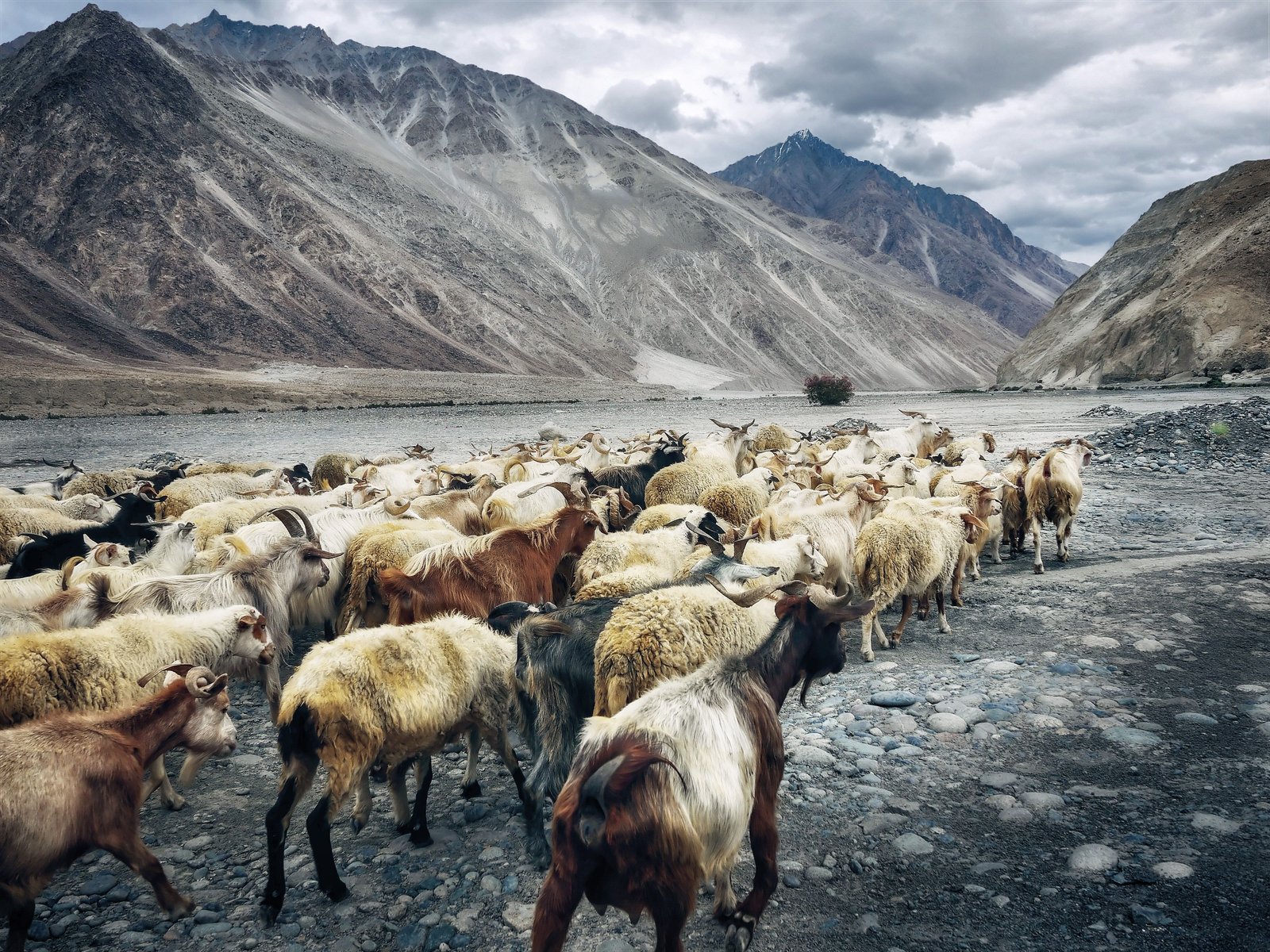 Heaven Himachal Tour
