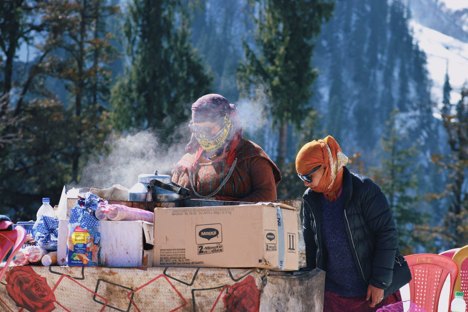 2N / 3D  Kullu-Manali Tour Package