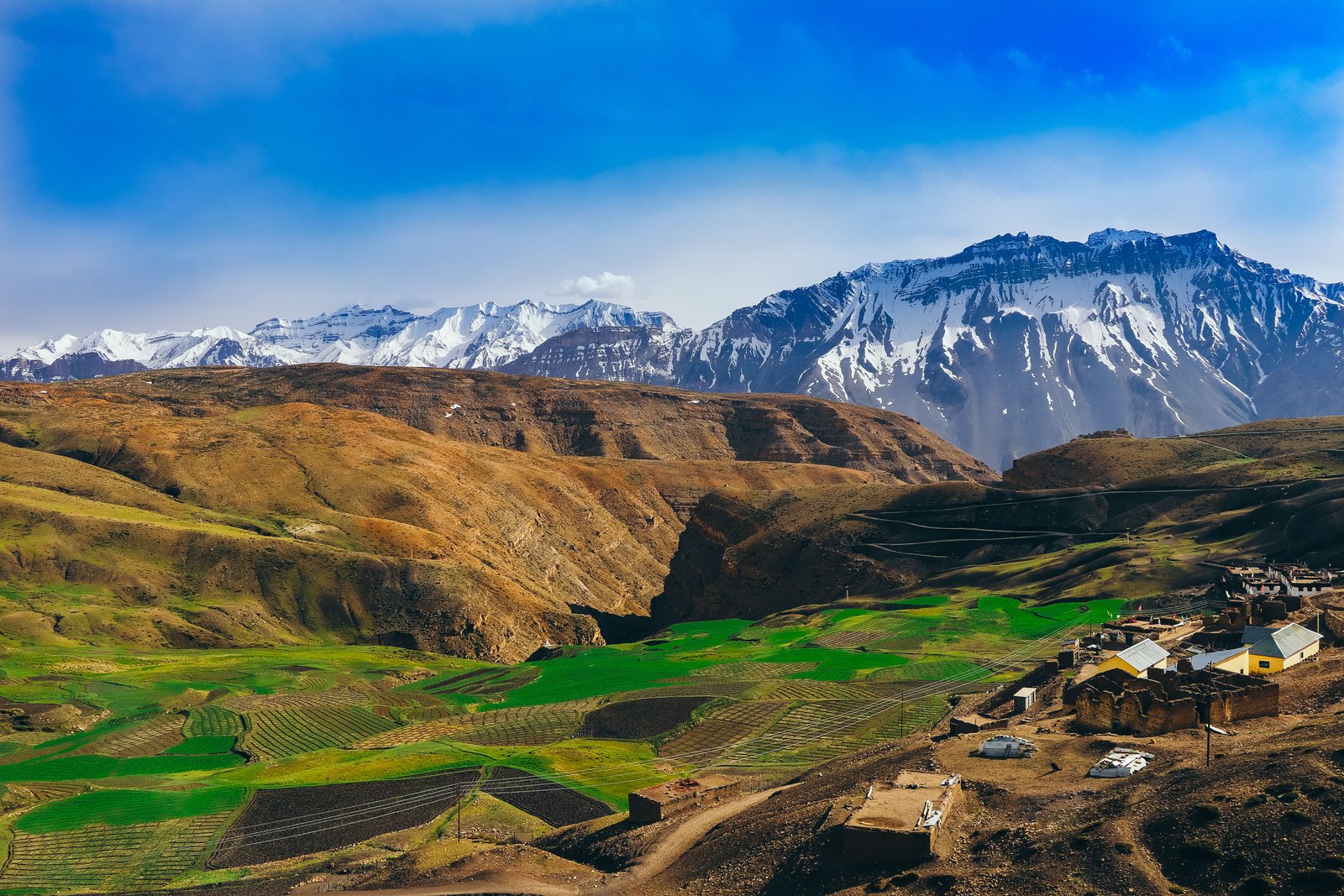 Winter Spiti Tour from Delhi 7N/8D - Image 8
