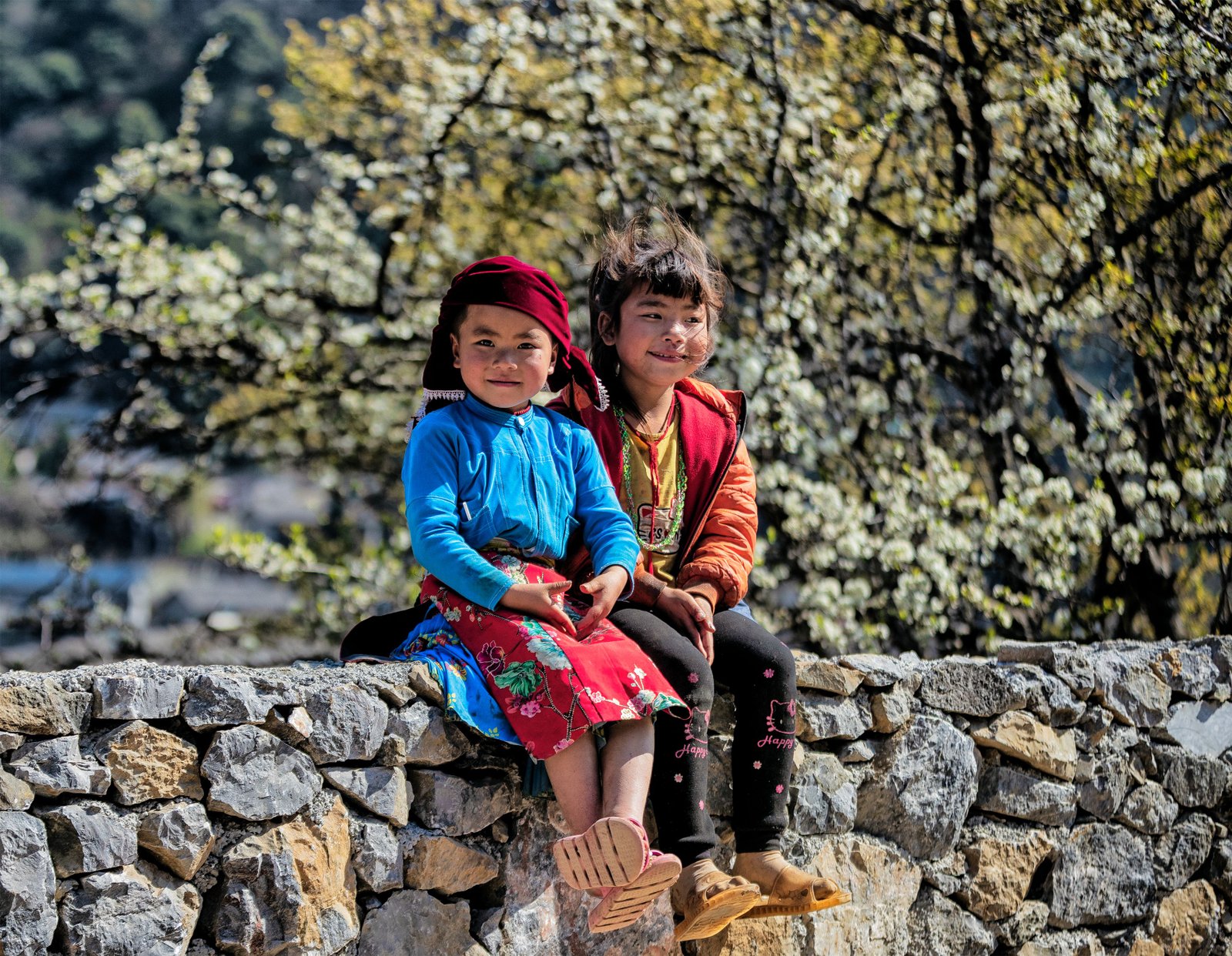 Kashmir Paradise 5N / 6D  Package From Delhi - Image 1