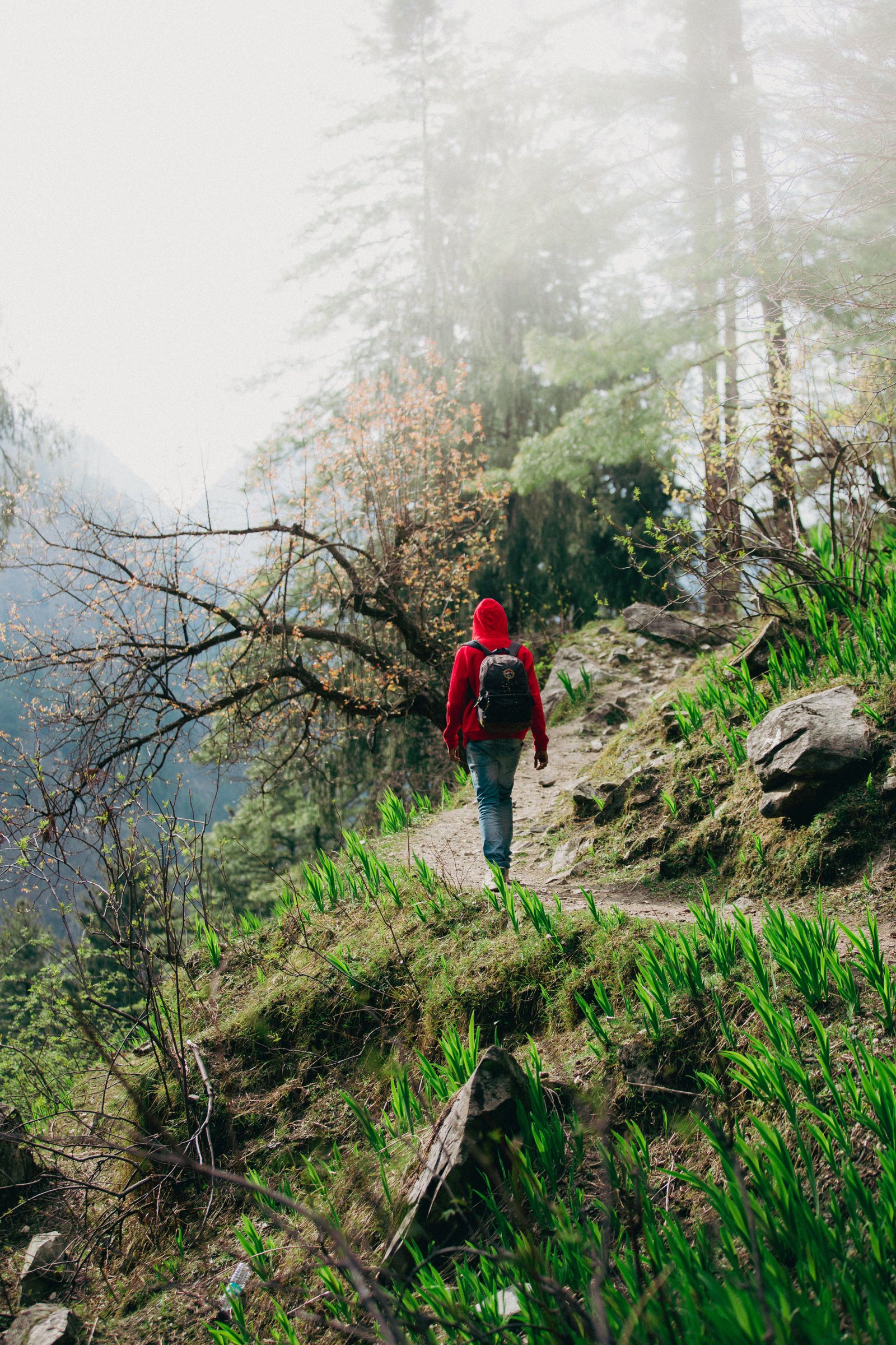 2N / 3D Kasol - Manikaran Package From Delhi - Image 6