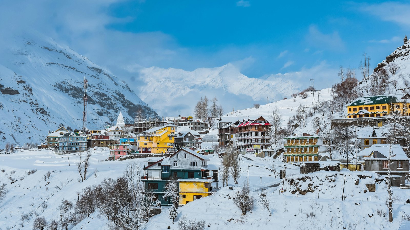 Shimla Manali 3N / 4D Tour By Volvo - Image 3