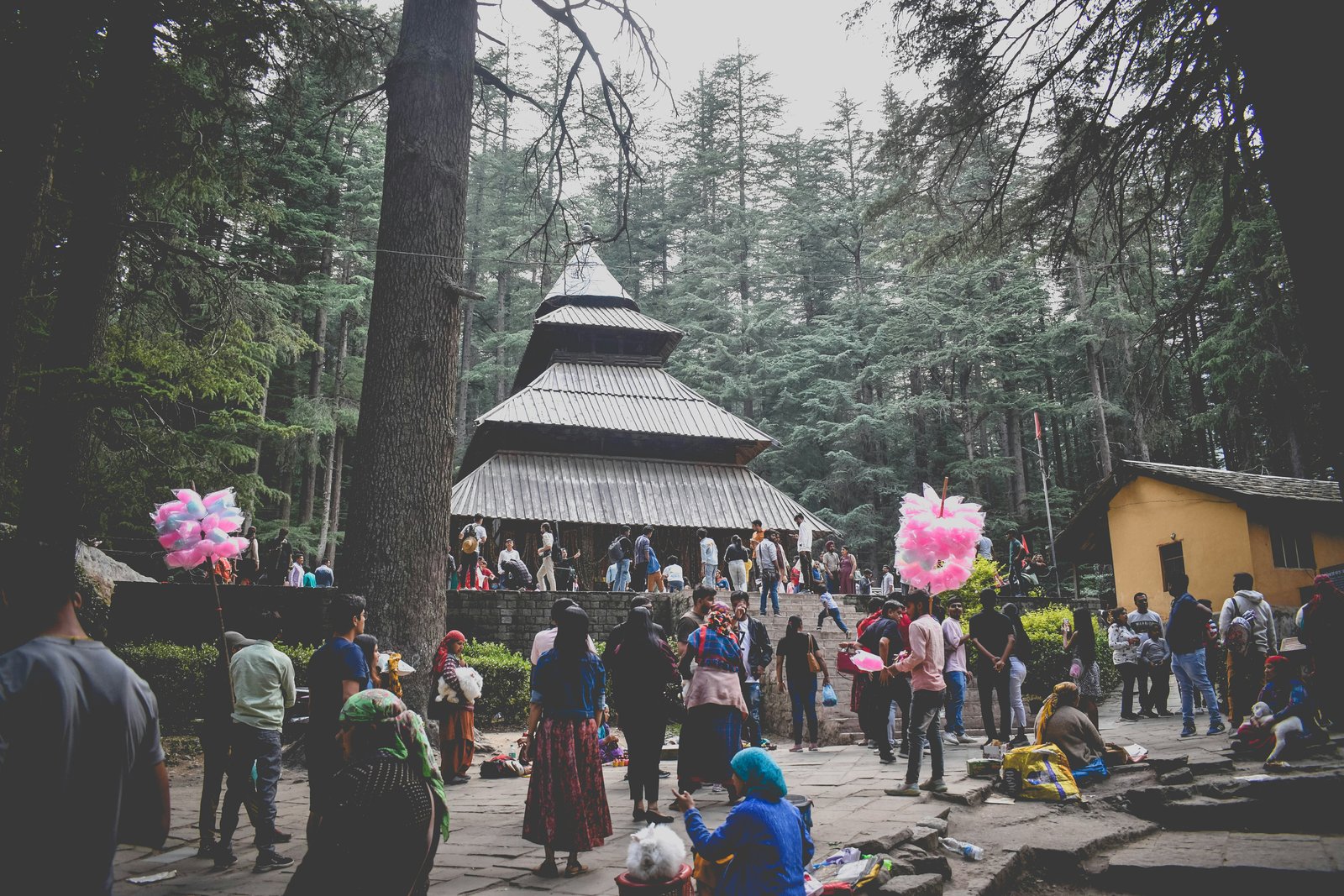 Shimla Manali 3N / 4D Tour By Volvo - Image 4